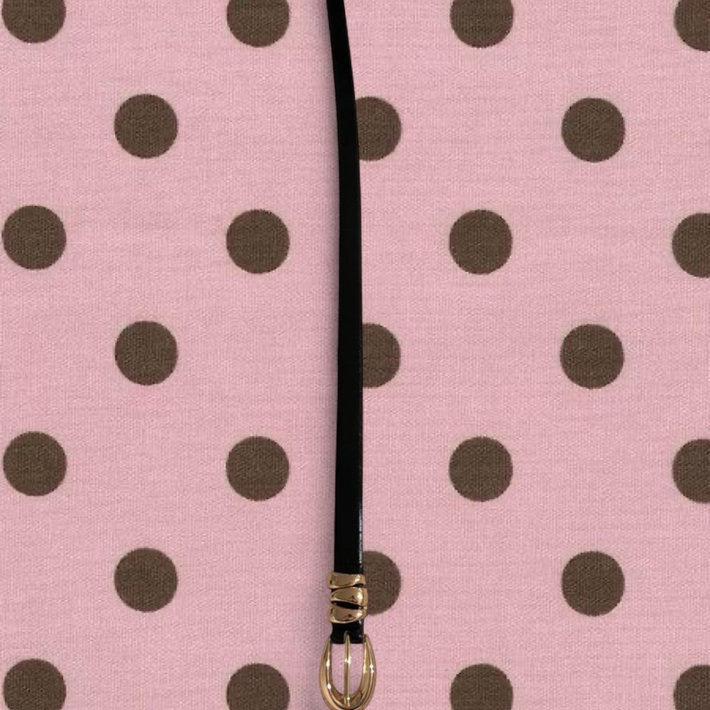 Princess Polly Black Skinny Belt with Gold Buckle